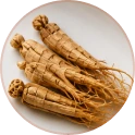 Panax Ginseng roots